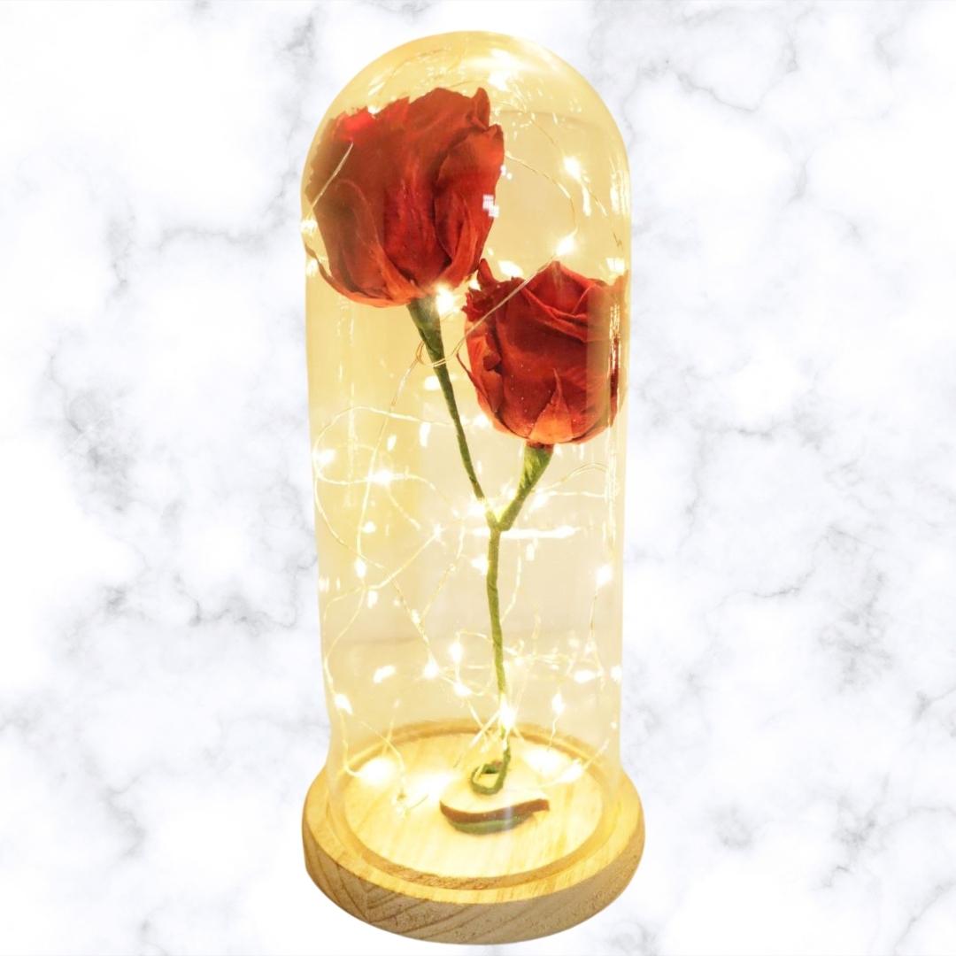 Rosas naturales preservadas en capsula de cristal - Organic Store