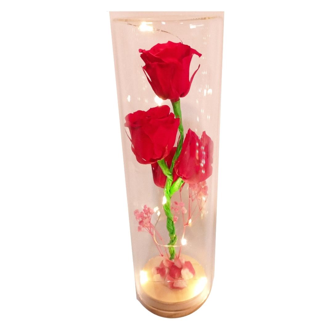 Capsula con 4 Rosas rojas naturales preservadas - Organic Store