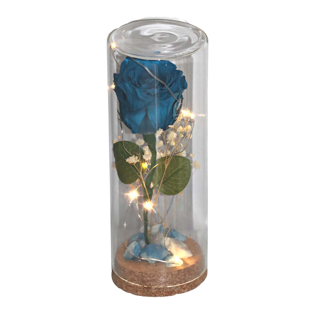Capsula grande con Rosa turquesa natural preservada con luces led - Organic  Store